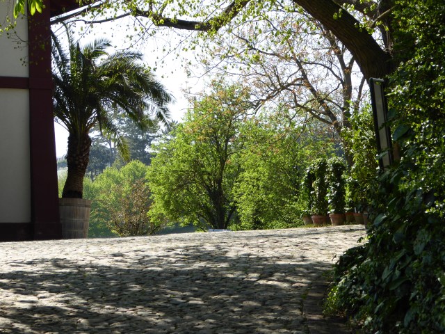 Botanical Garden Basel