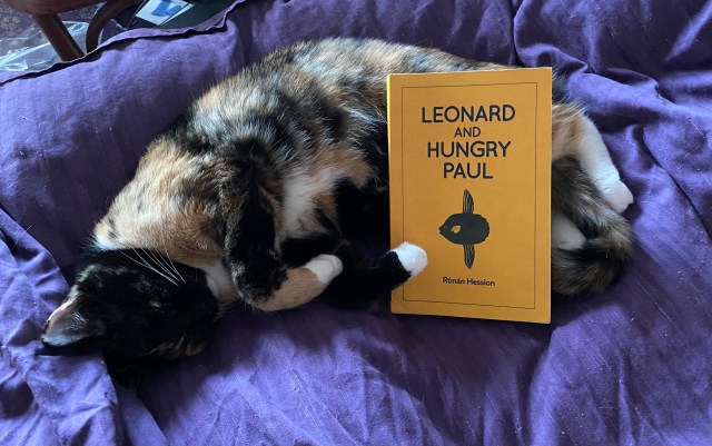 Leonard and Hungry Paul by Rónán Hession #ReadIndies – Bluemoose Books ...